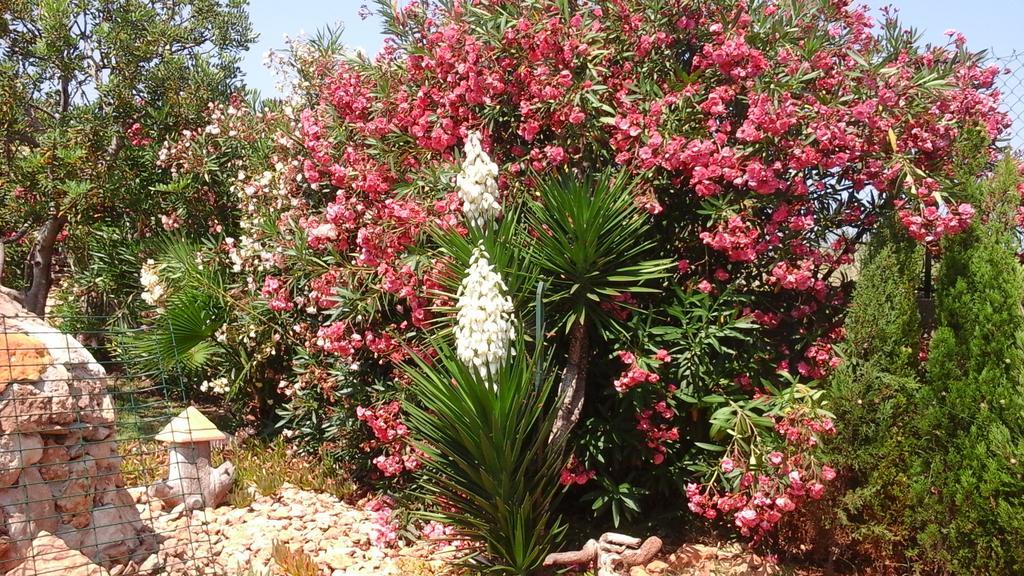Chalet Atalants Yailja Alcossebre Εξωτερικό φωτογραφία
